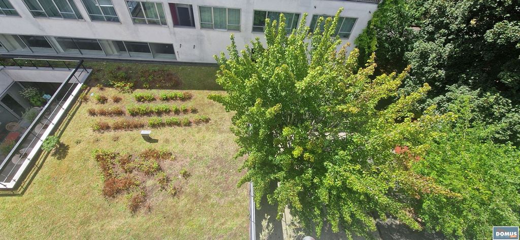 Appartement LILLE (59000) DOMUS IMMO