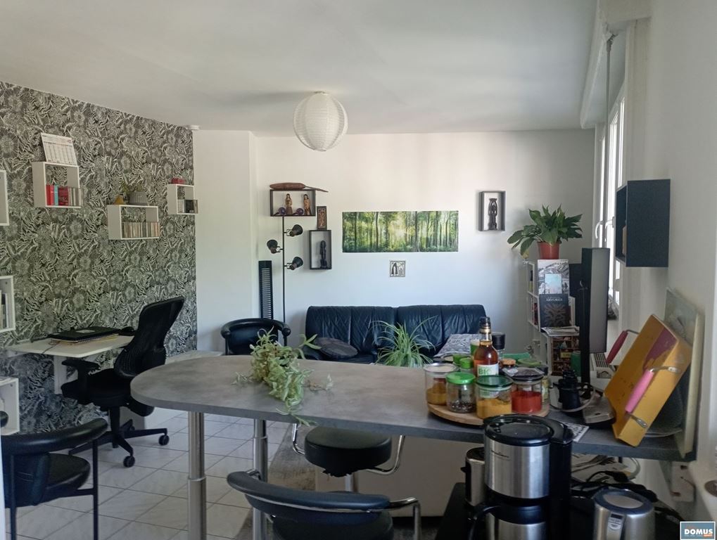 Appartement T2 LILLE (59800) DOMUS IMMO