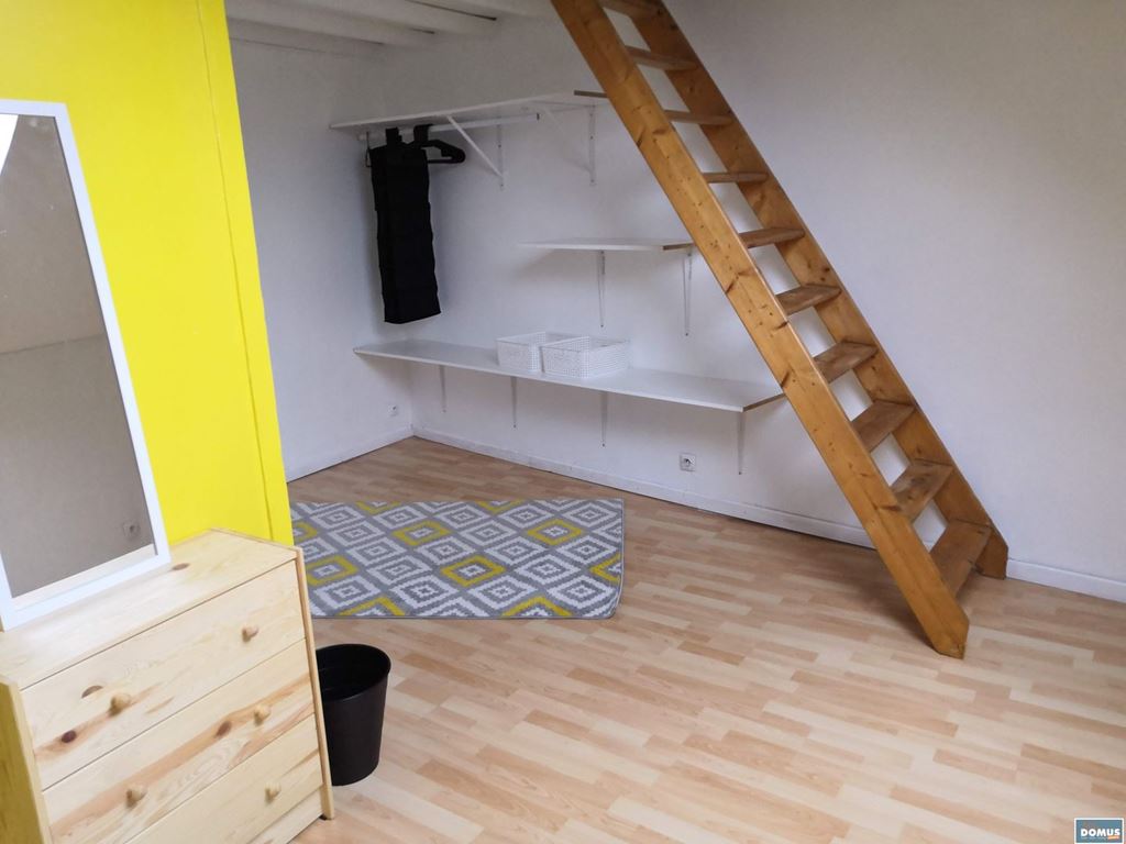 Maison LILLE (59800) DOMUS IMMO