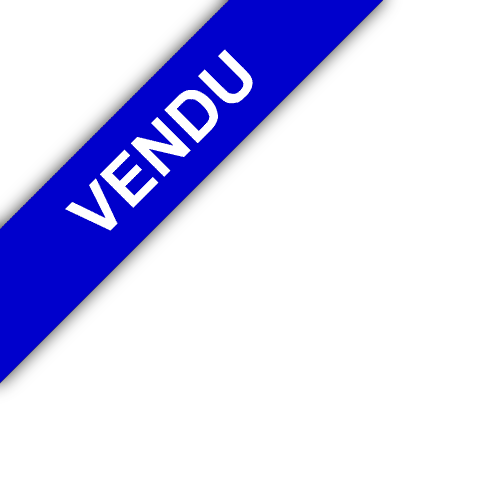 bandeau DOMUS IMMO